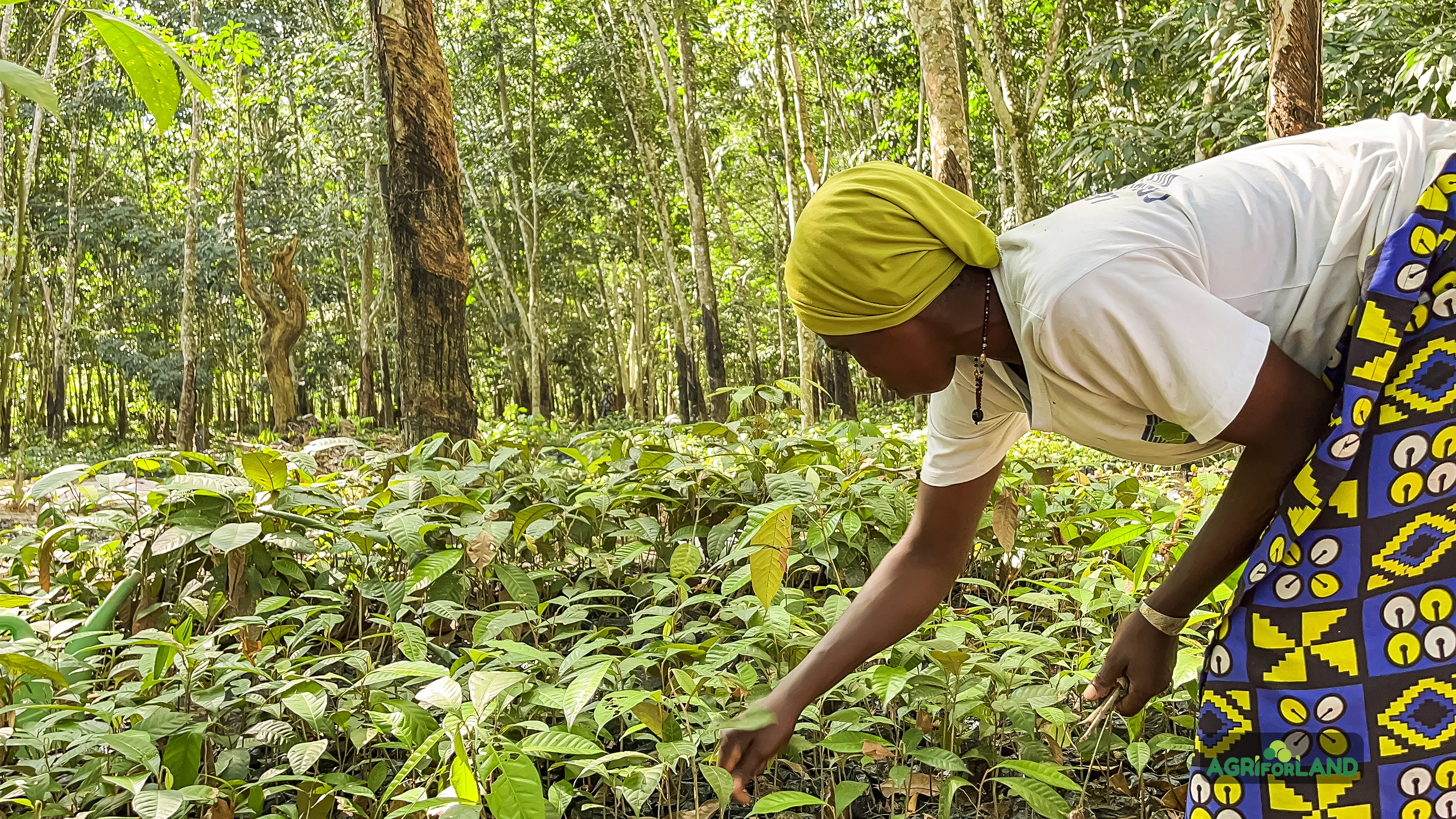 Pôle Farming & Solutions basées sur la nature - AGRIFORLAND