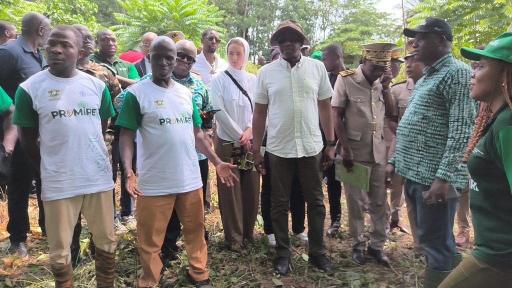 MISE EN ŒUVRE DES ACTIVITÉS D’AGROFORESTERIE, D’AGROSYSTÈMES ET DE SUIVI DES PARCELLES DU PROJET PROMIRE